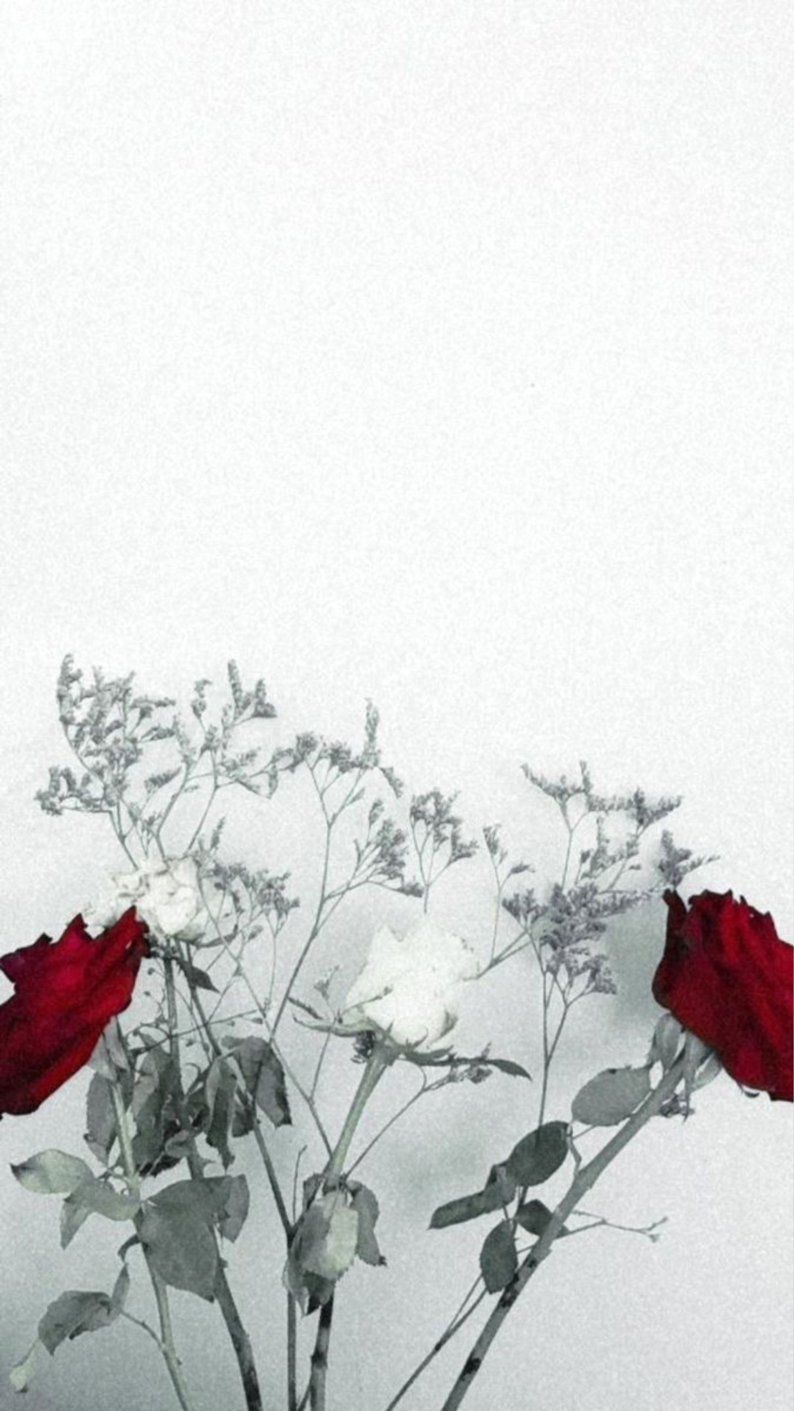 Stella Sinns profile banner