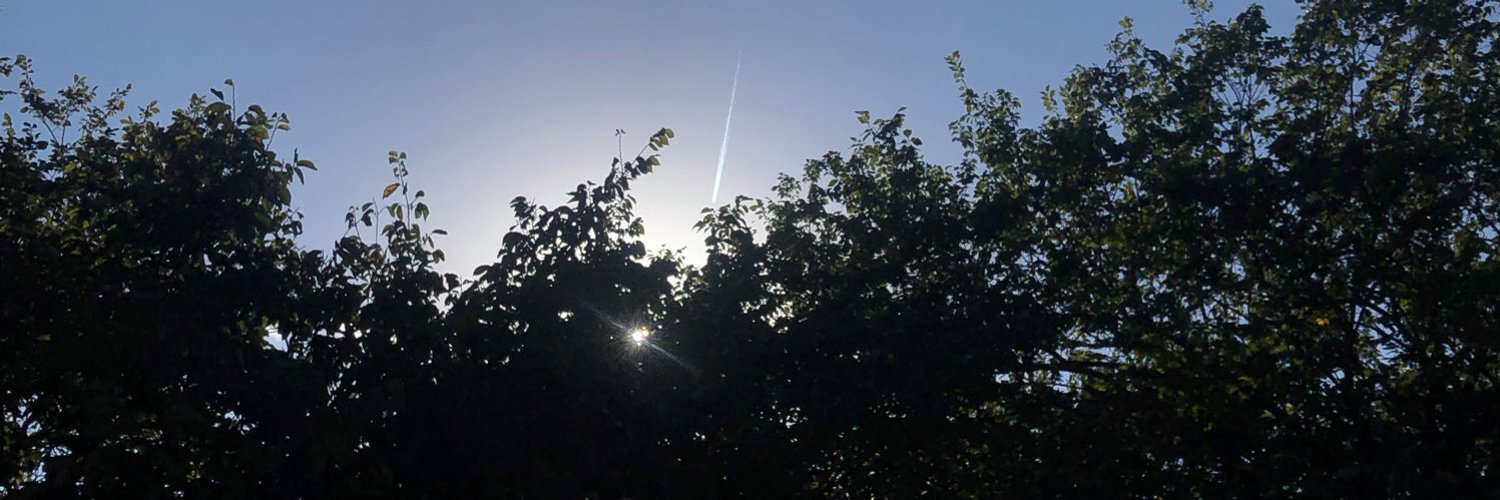 Gray profile banner