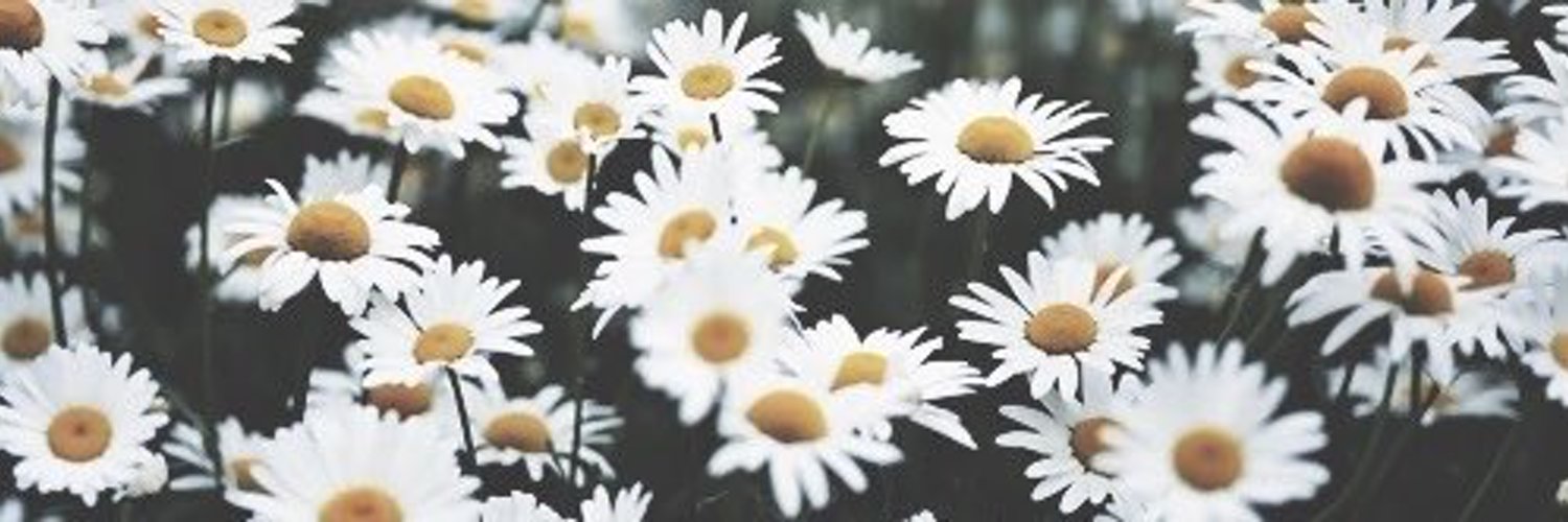 itsbbydaisy banner