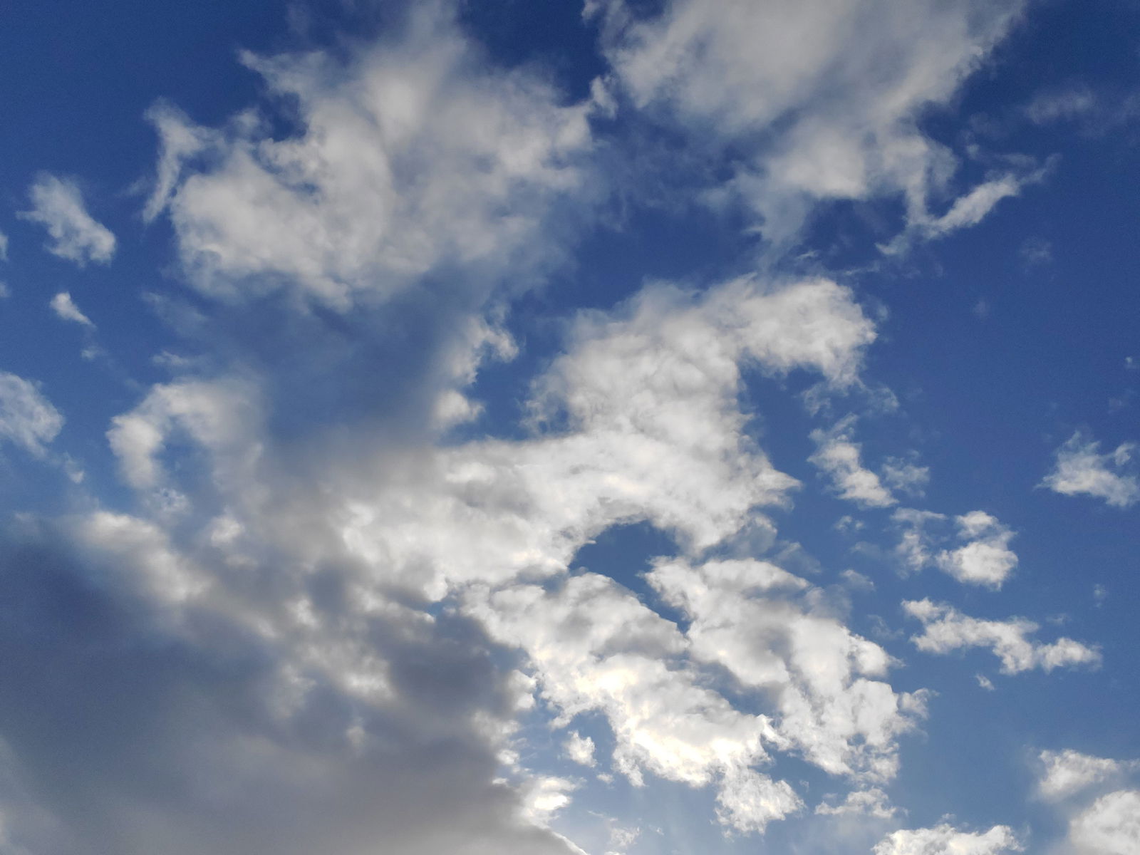 Benny Bean profile banner