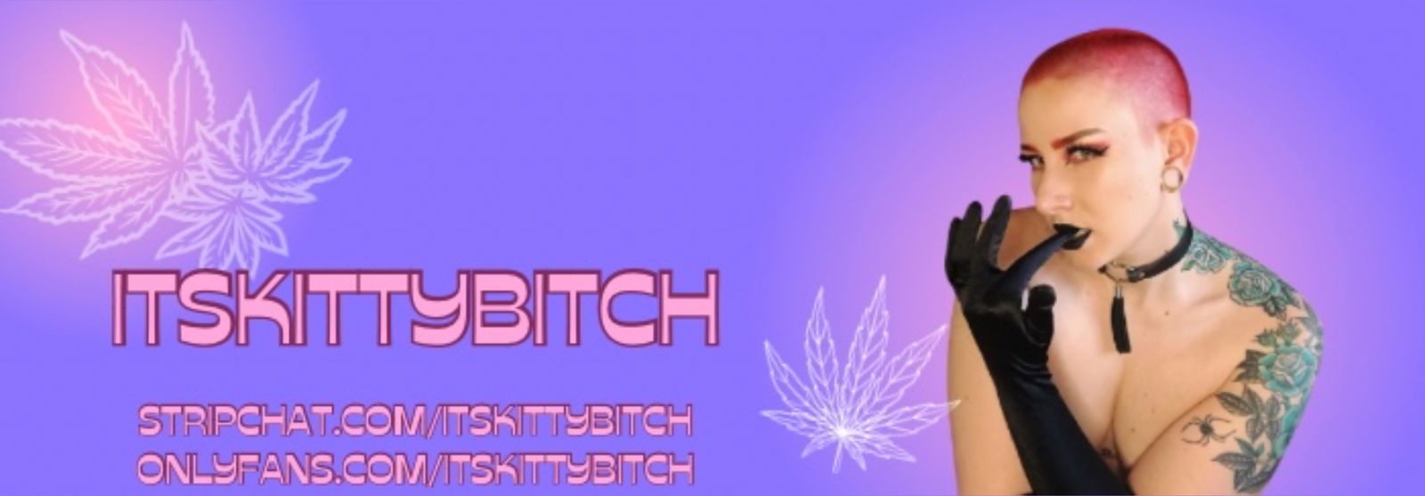 Kitty π€ profile banner