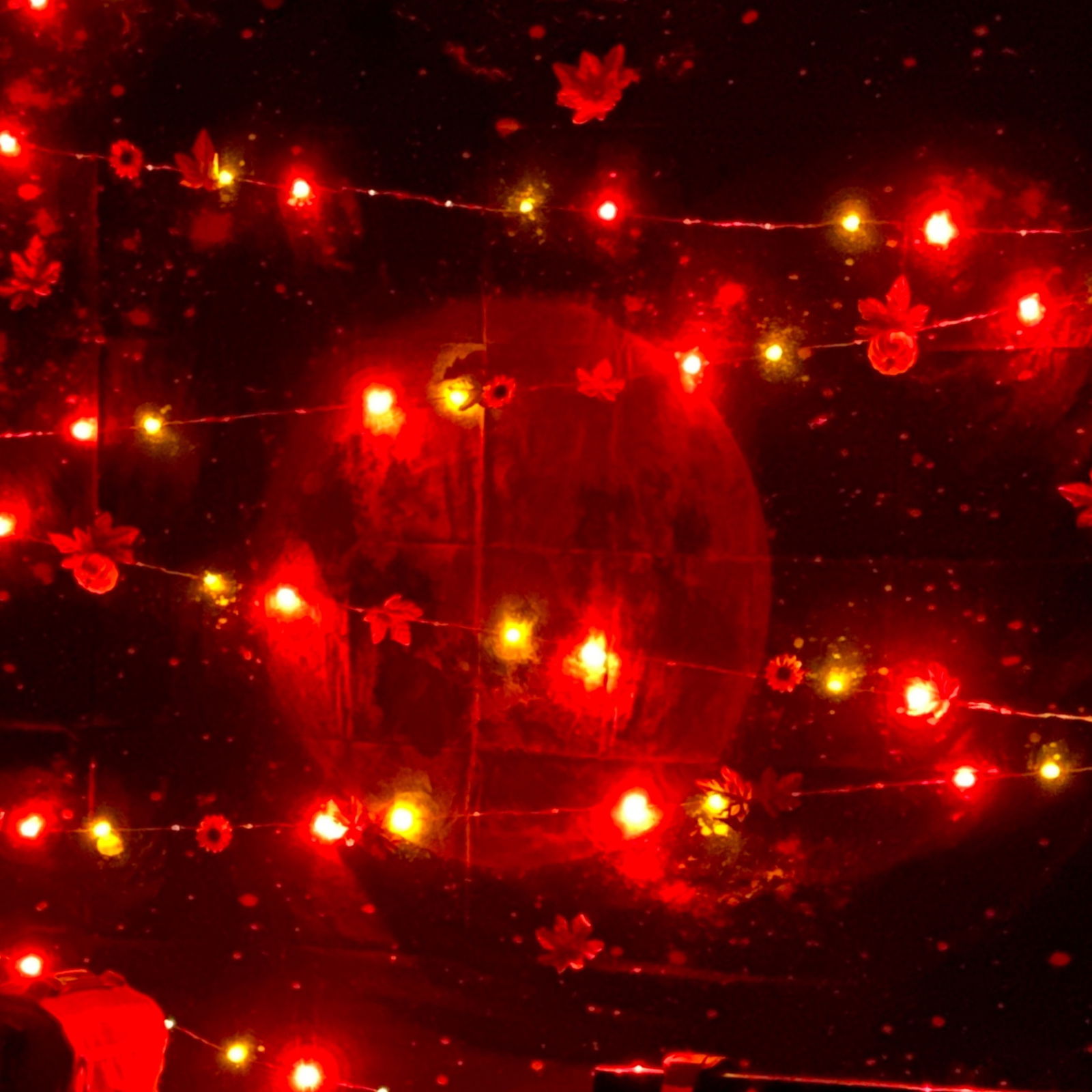Ivory Minx profile banner
