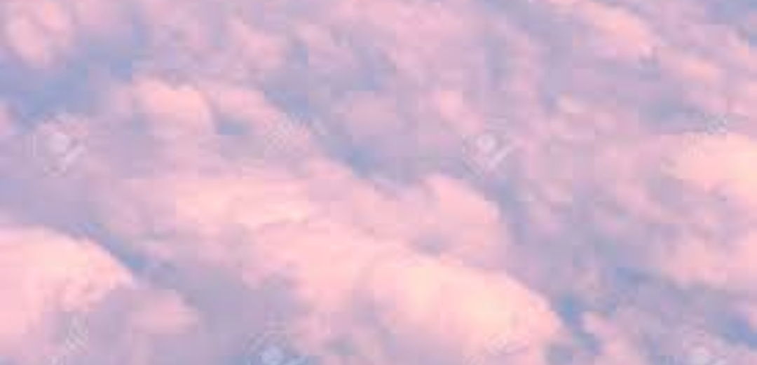 Ivy profile banner