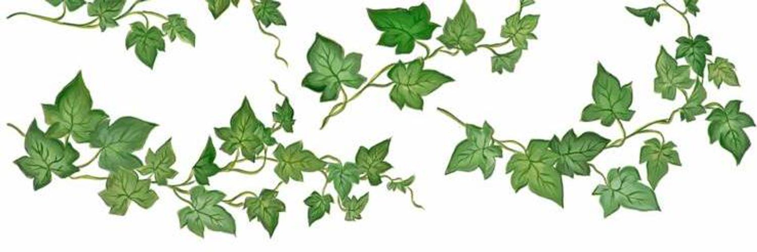 ivydelacourte banner