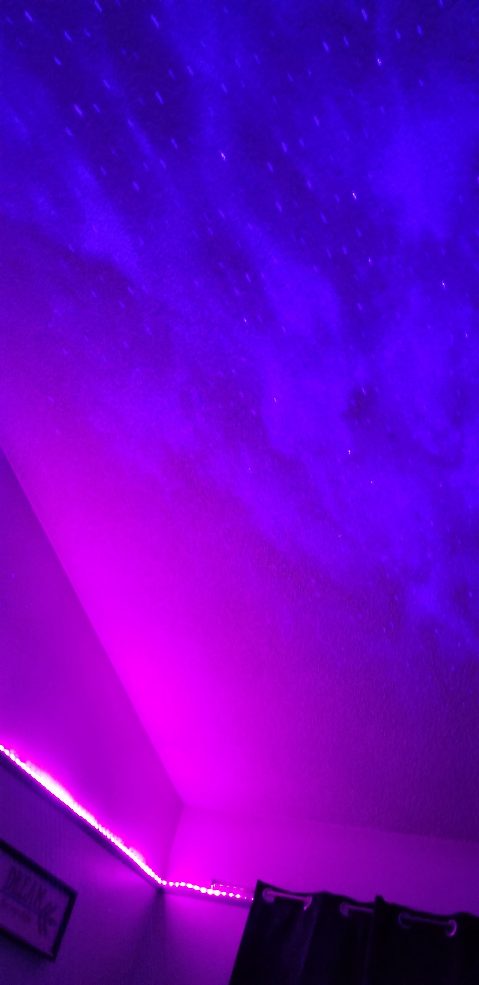 ༻ J Bear 🐻 ༺ profile banner