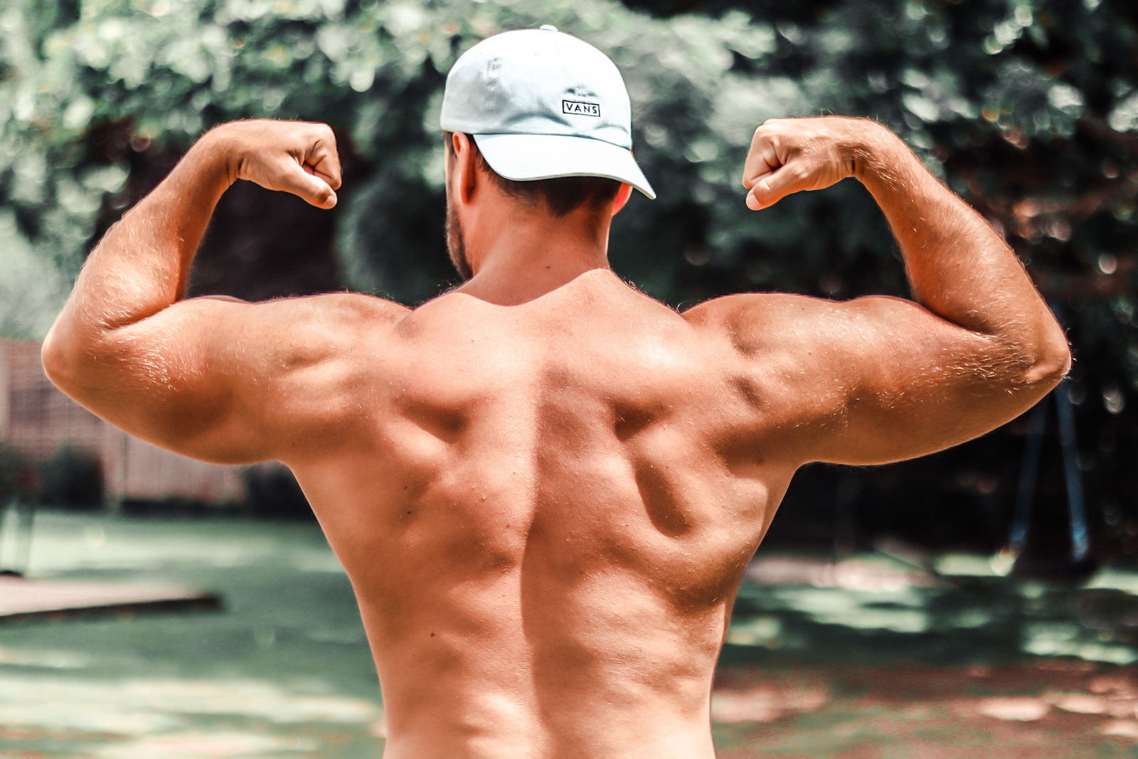 Jackson profile banner