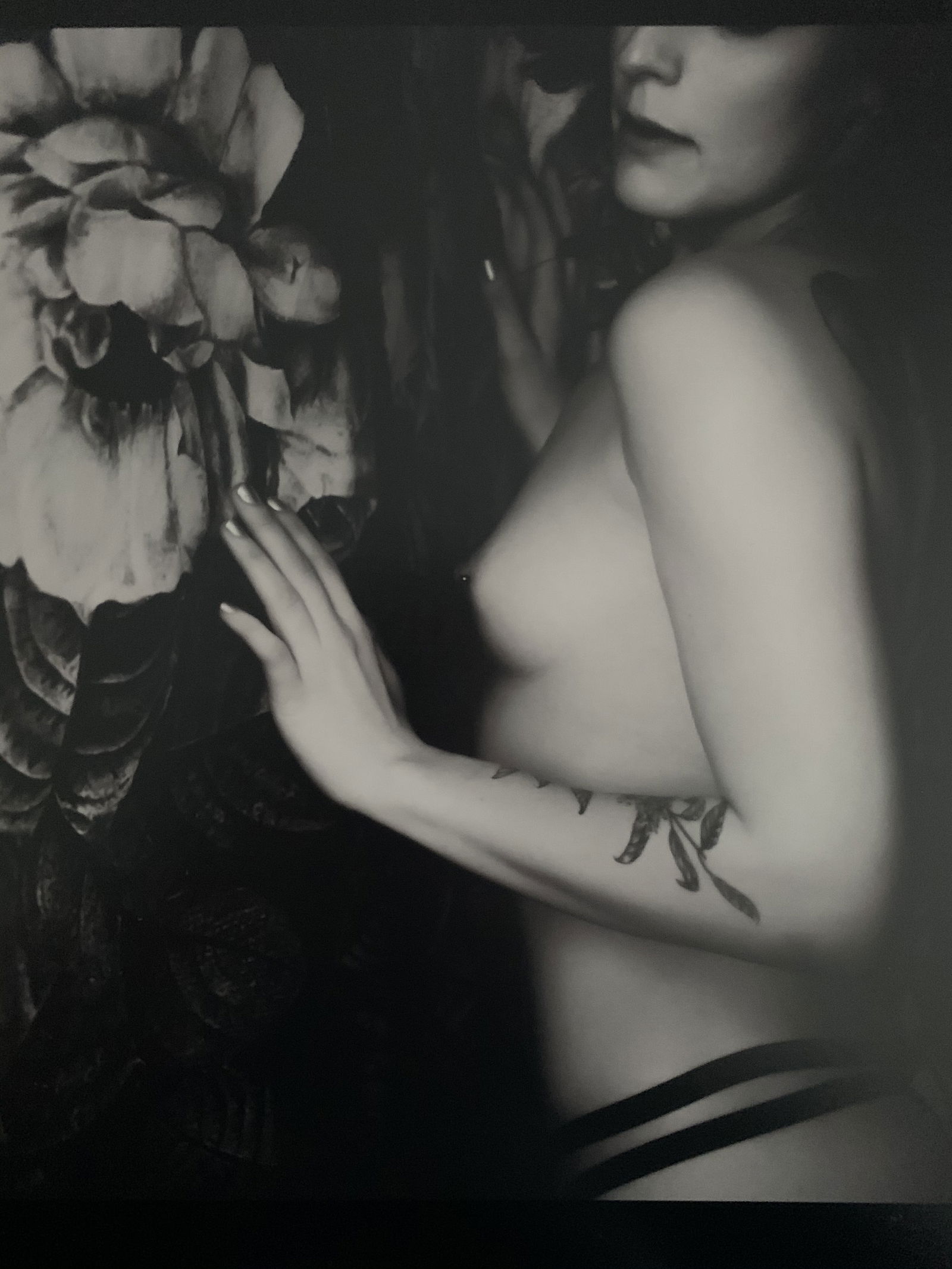 Jade profile banner