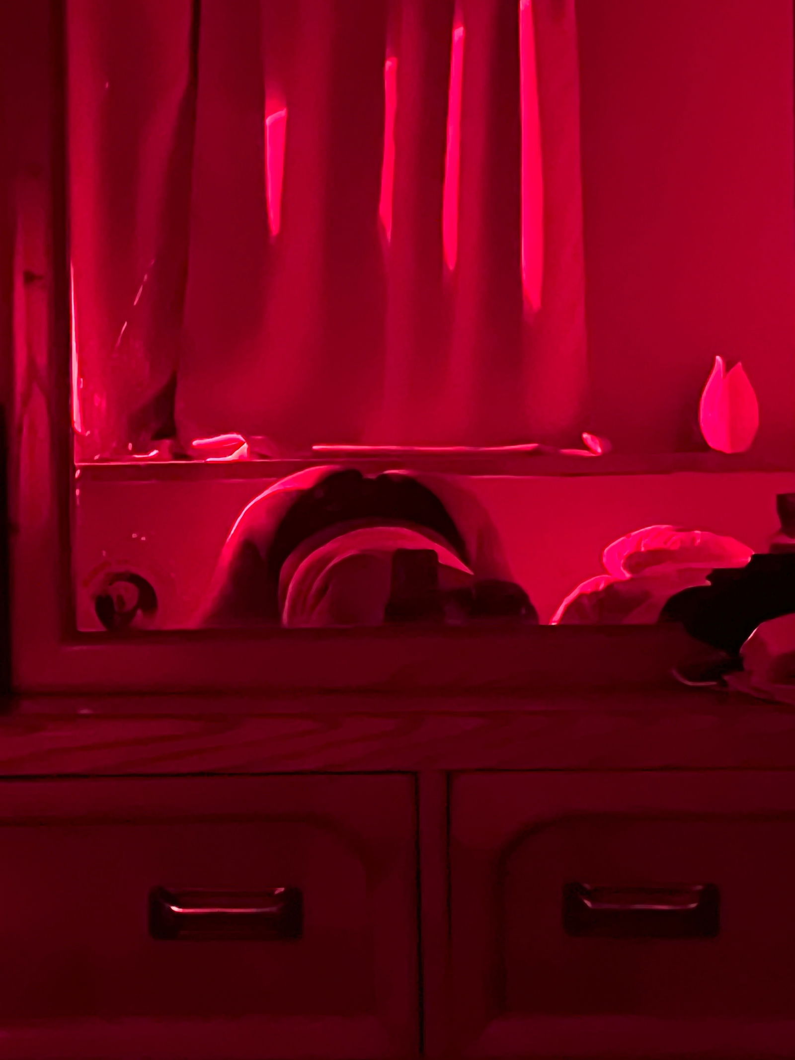 PytJas profile banner