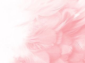 Jane Rocci profile banner