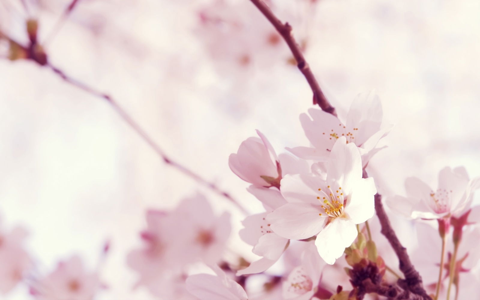 Jävä☽♊ profile banner