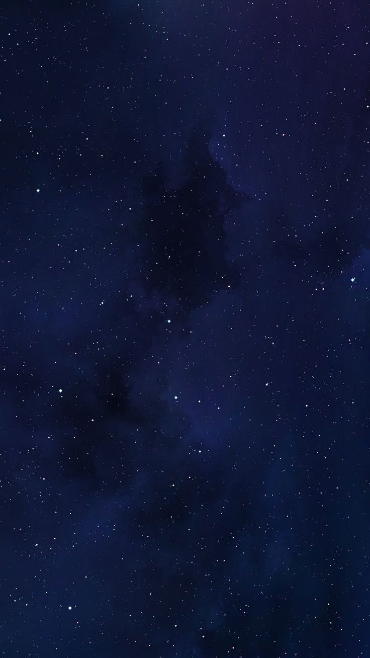 Fat~cat profile banner