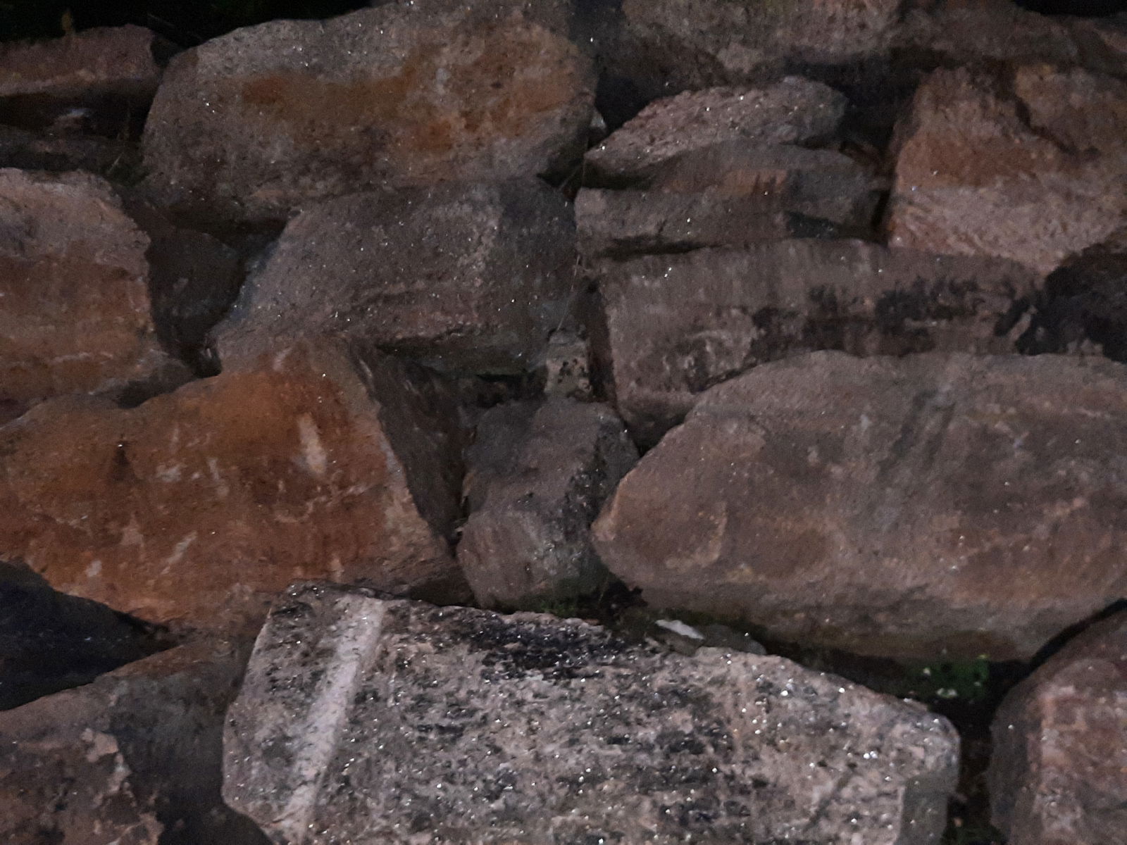 jay profile banner