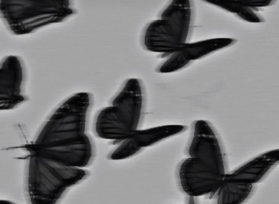🖤Jayde🖤 profile banner