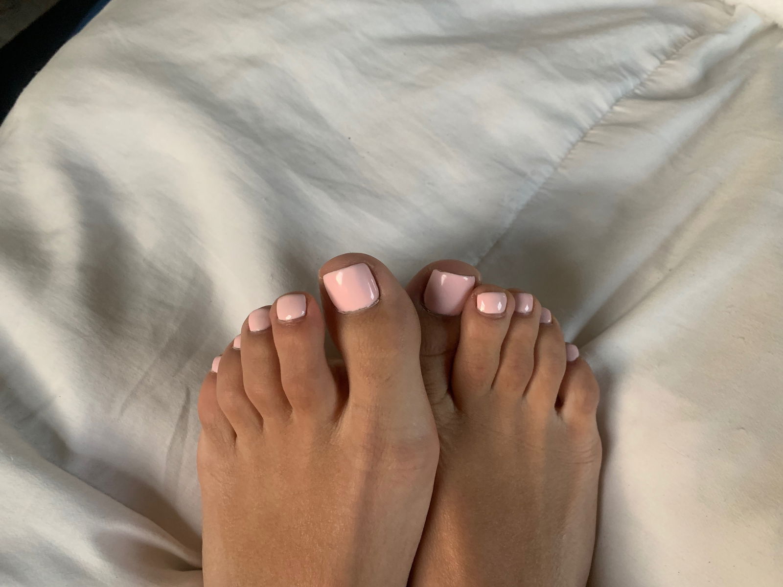 Jaylene profile banner