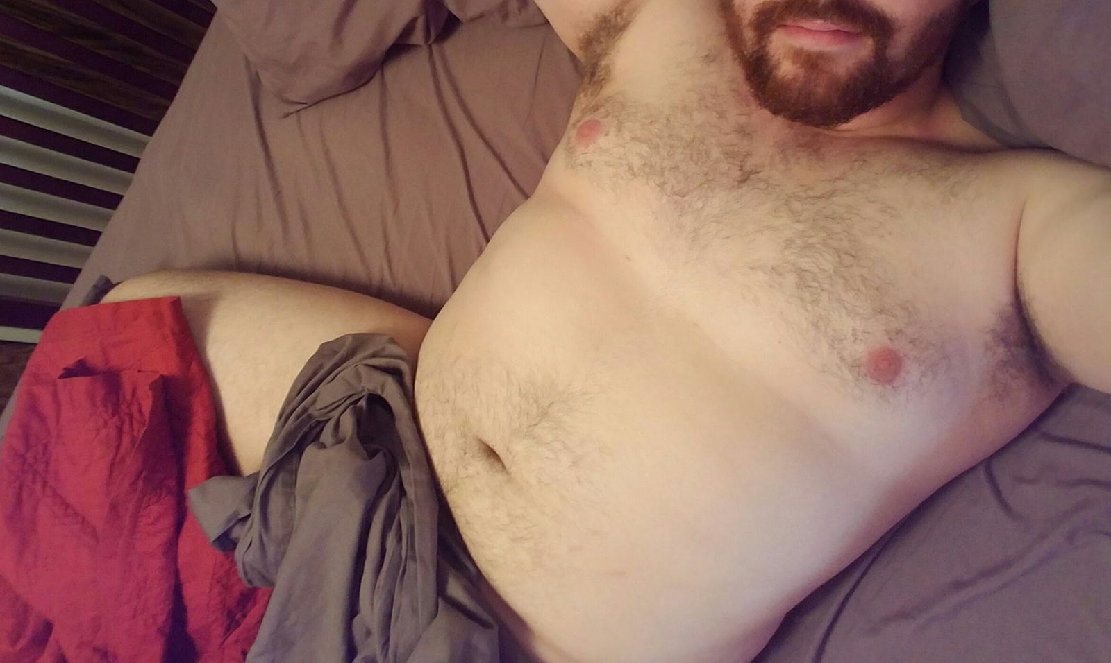 Chubby Bearded Bear 🐻 profile banner