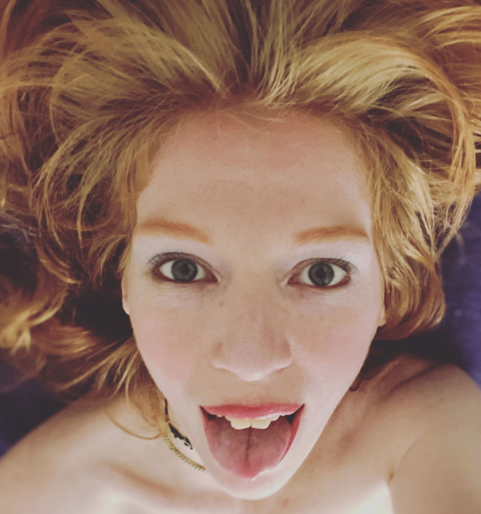jenovakitty banner