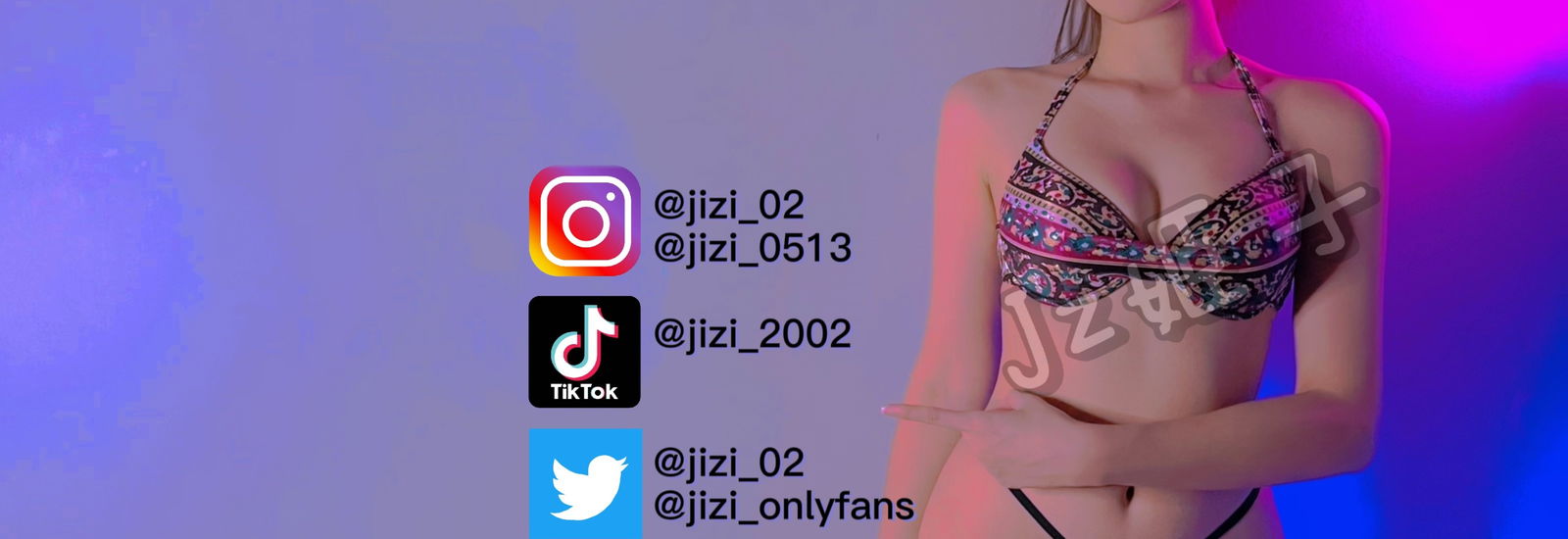 姬子 profile banner