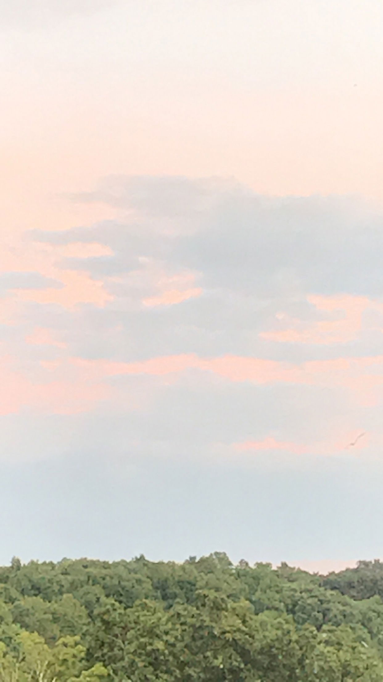 j* profile banner