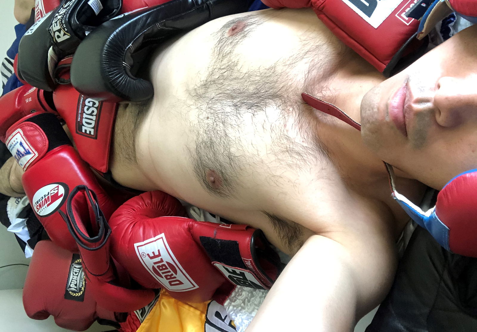 Joeboxerbr profile banner