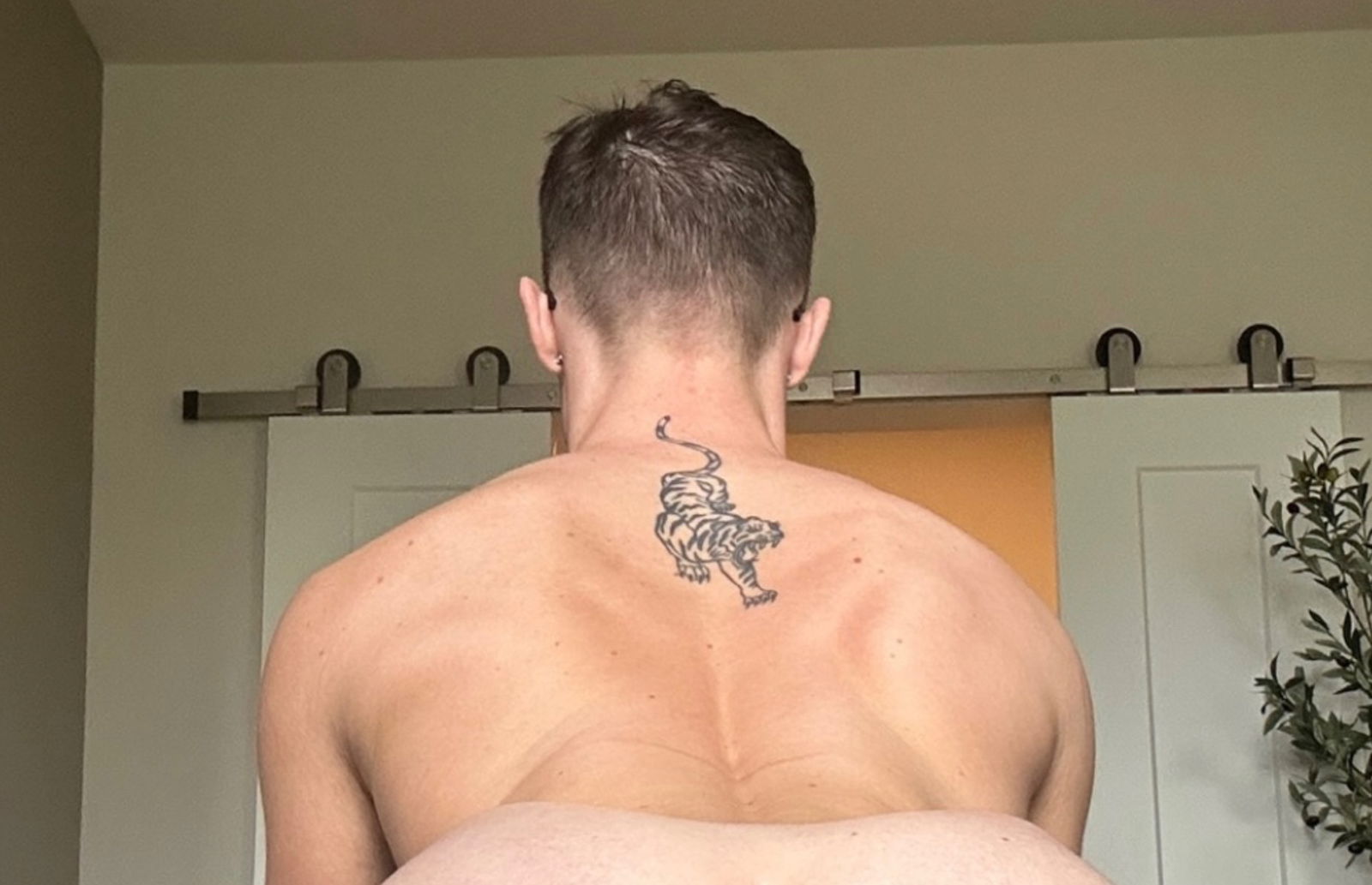 Joey profile banner