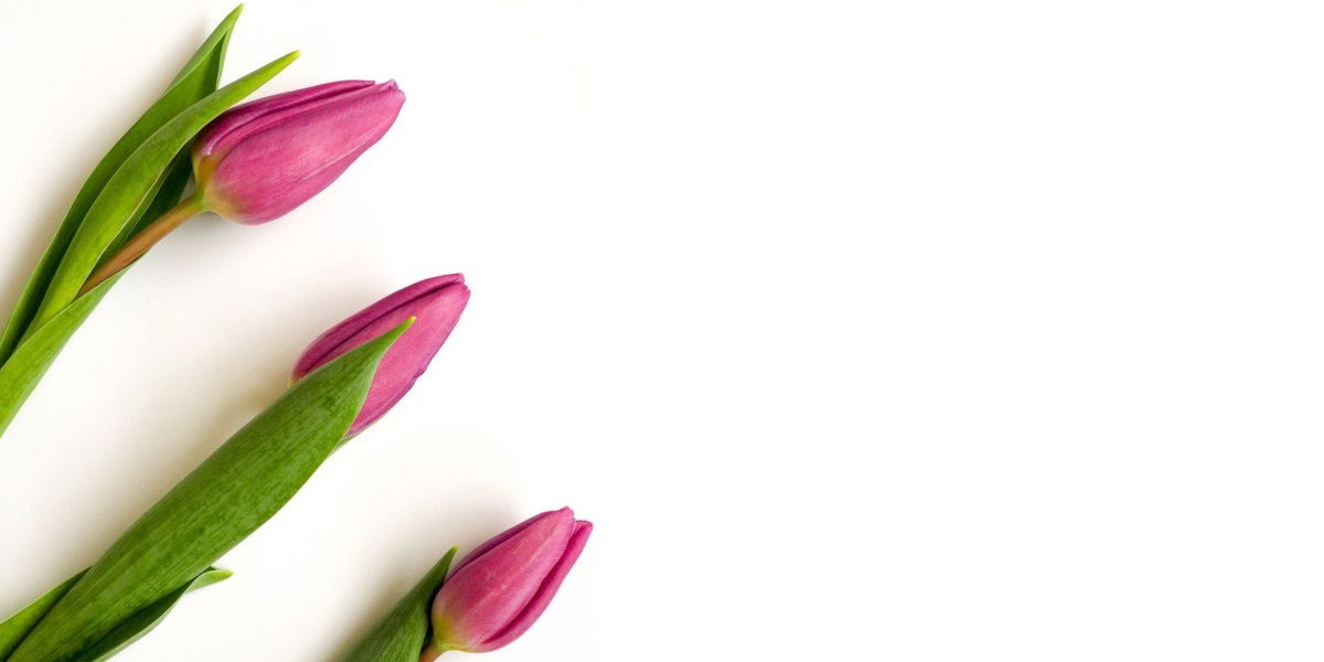 Jordyn profile banner
