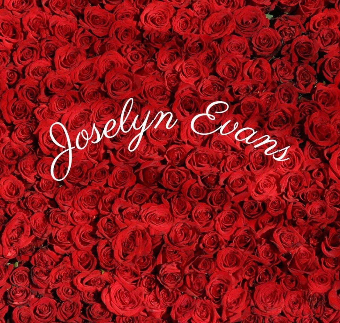 Joselyn.VIP profile banner