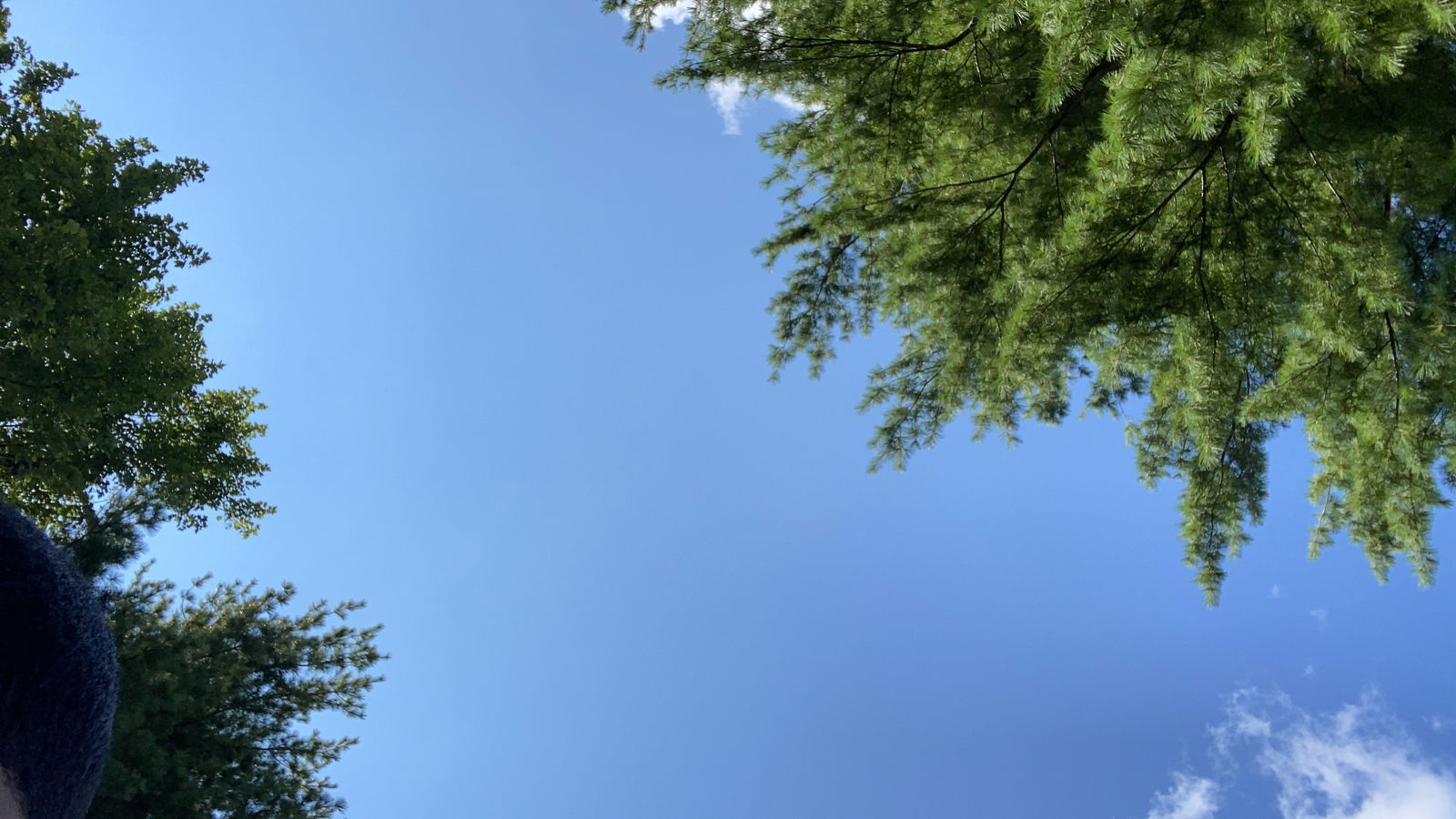 Foxyjay profile banner
