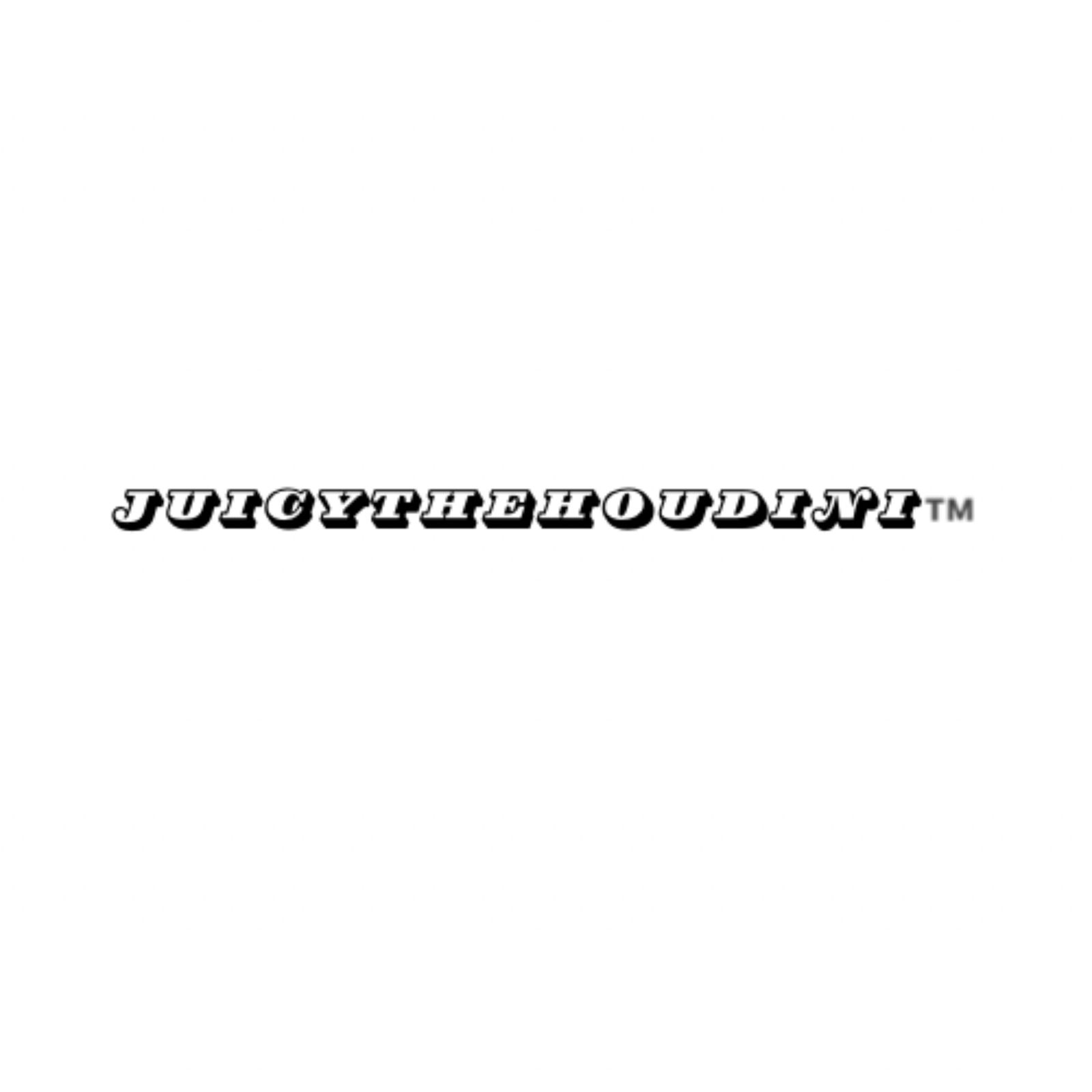 juicythehoudinii banner