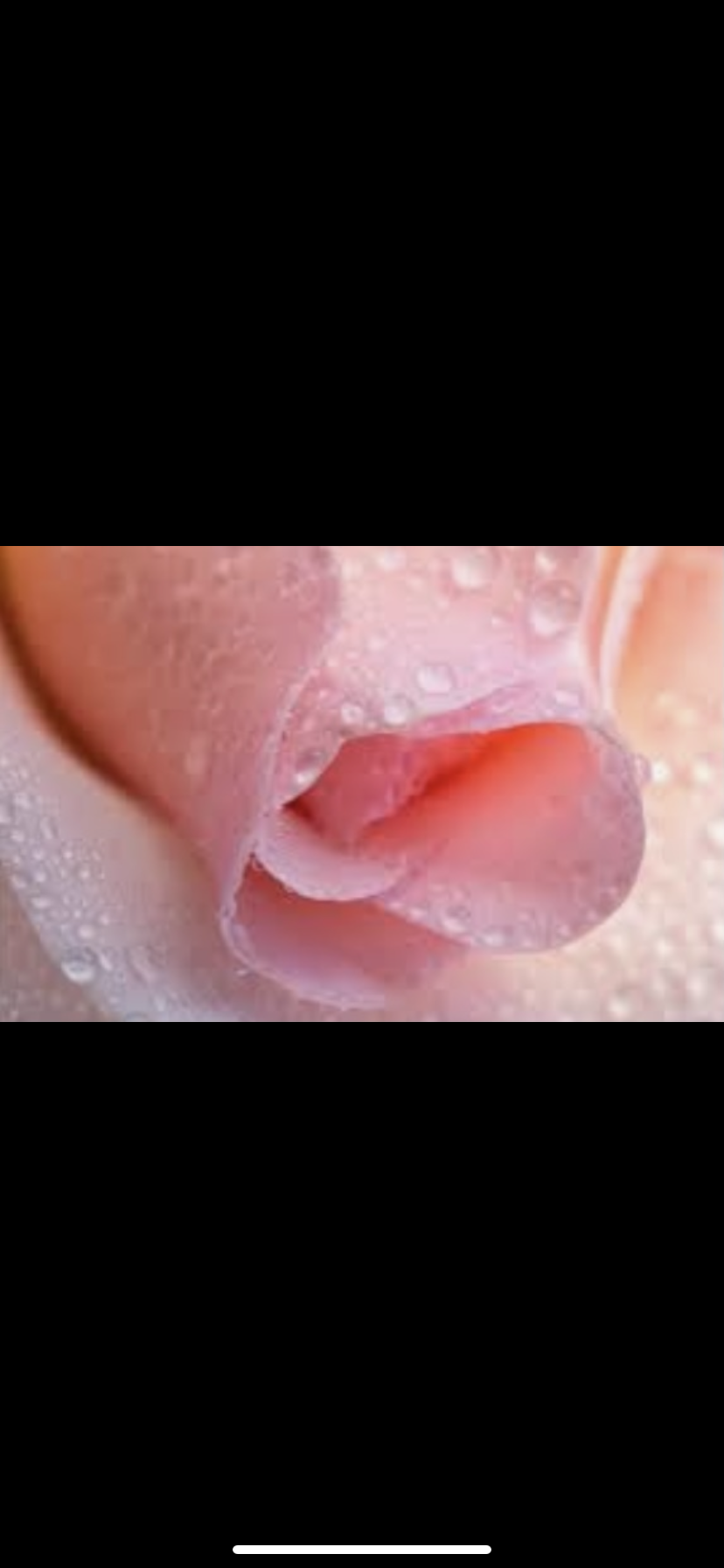 Miss Juicy profile banner