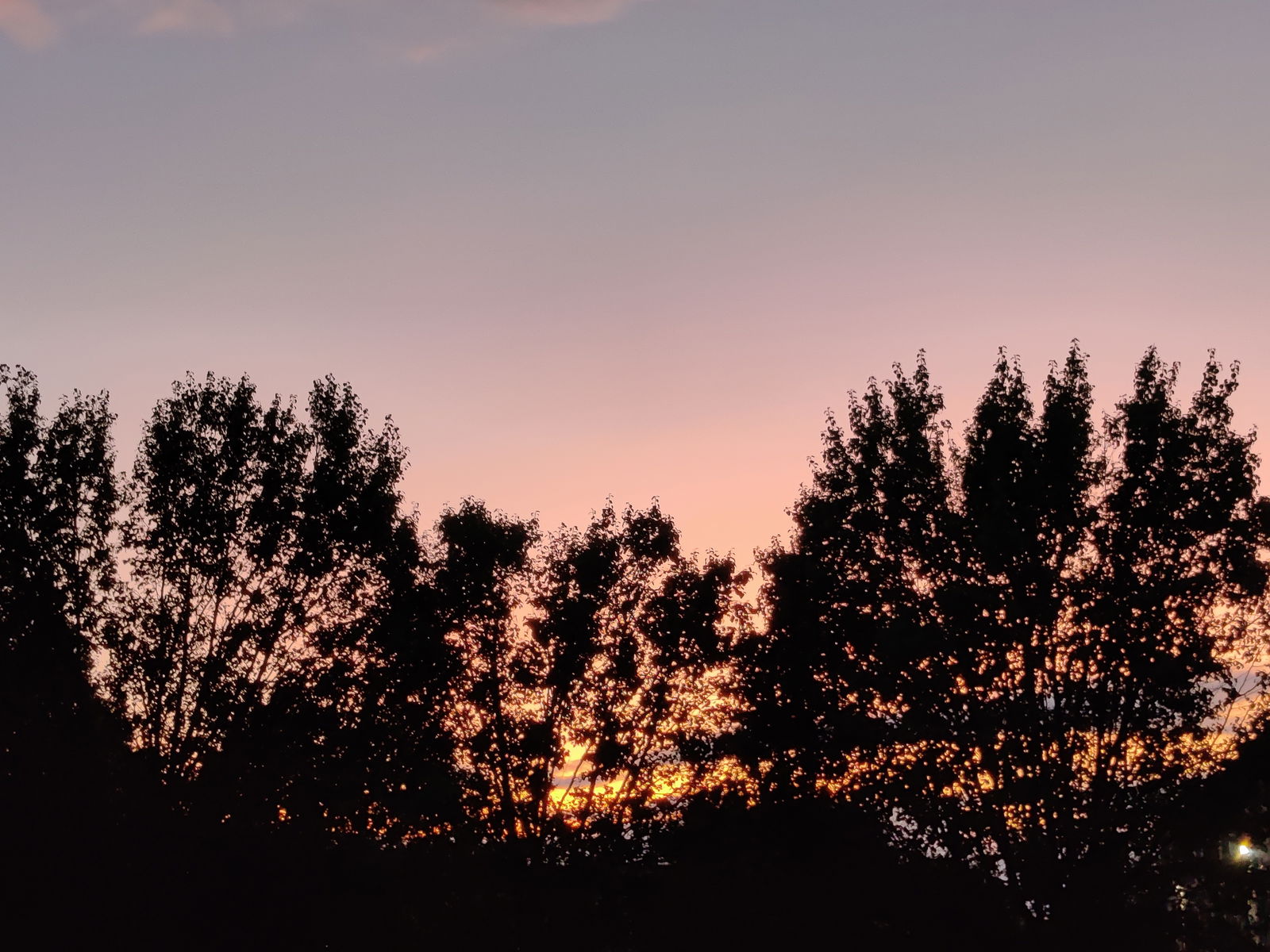 Juliet Night profile banner