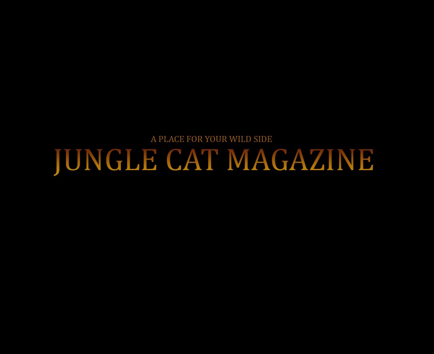 JUNGLE CAT MAGAZINE profile banner