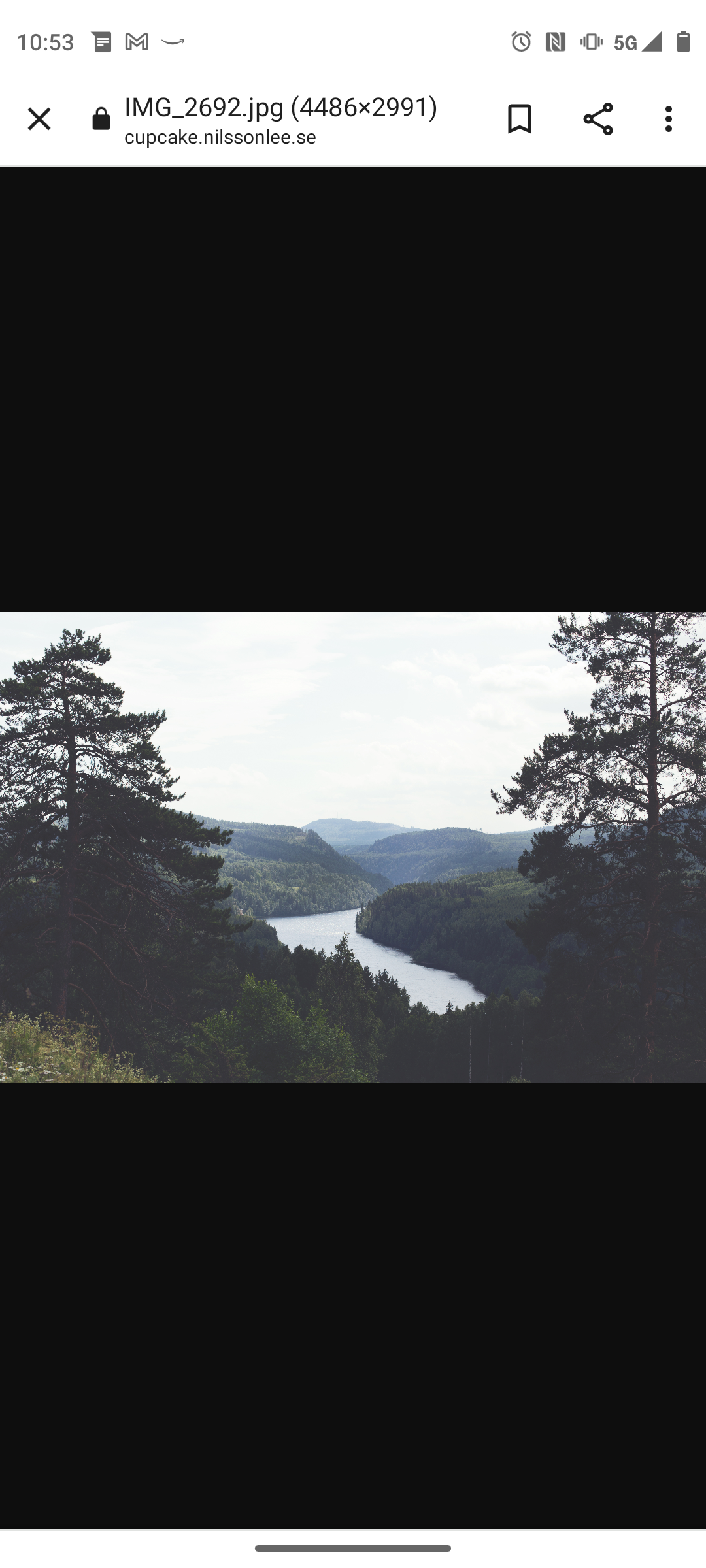Juniper Mille profile banner