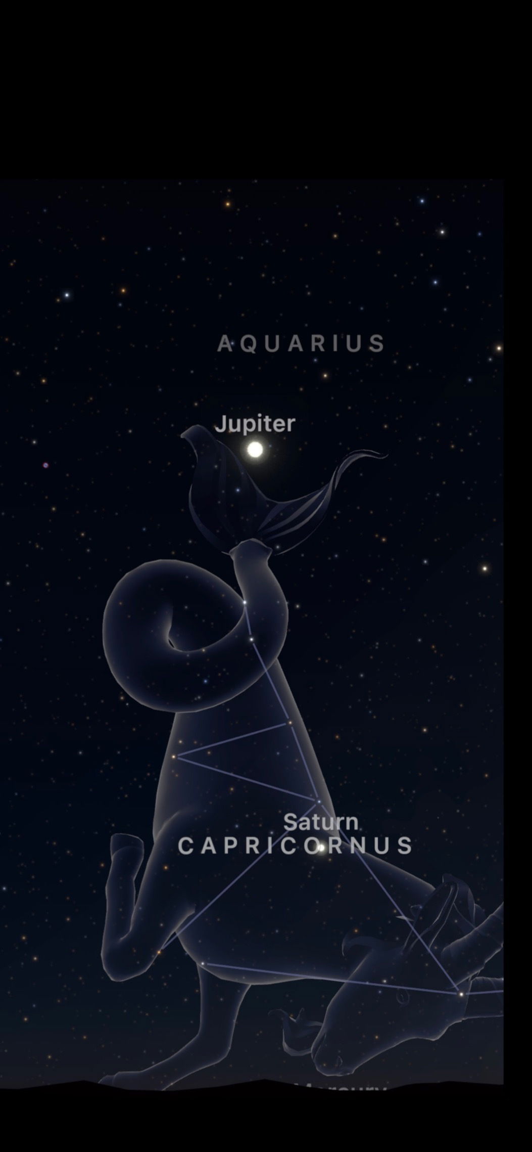 Jupiter Stone profile banner