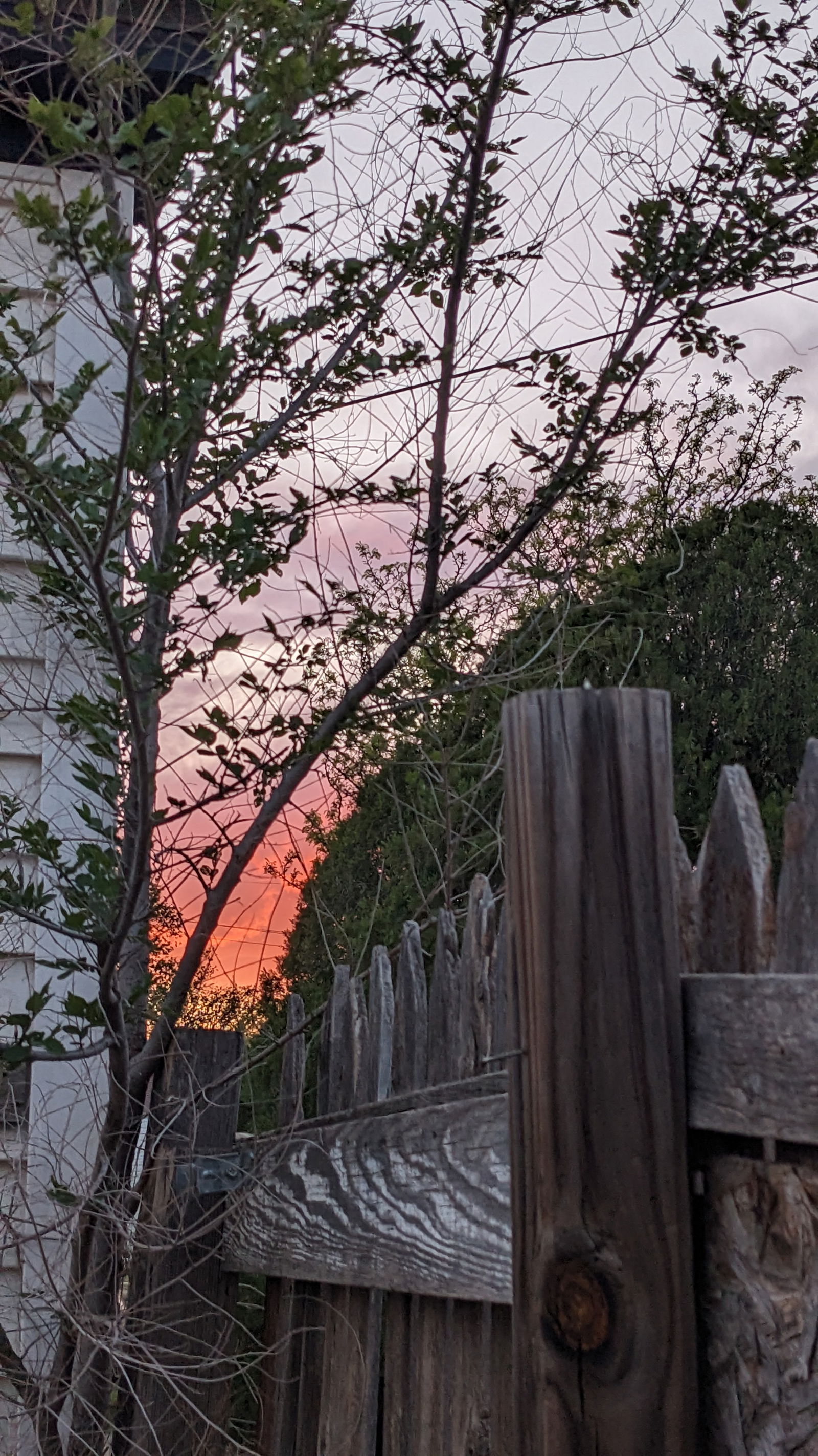 just sodomy profile banner