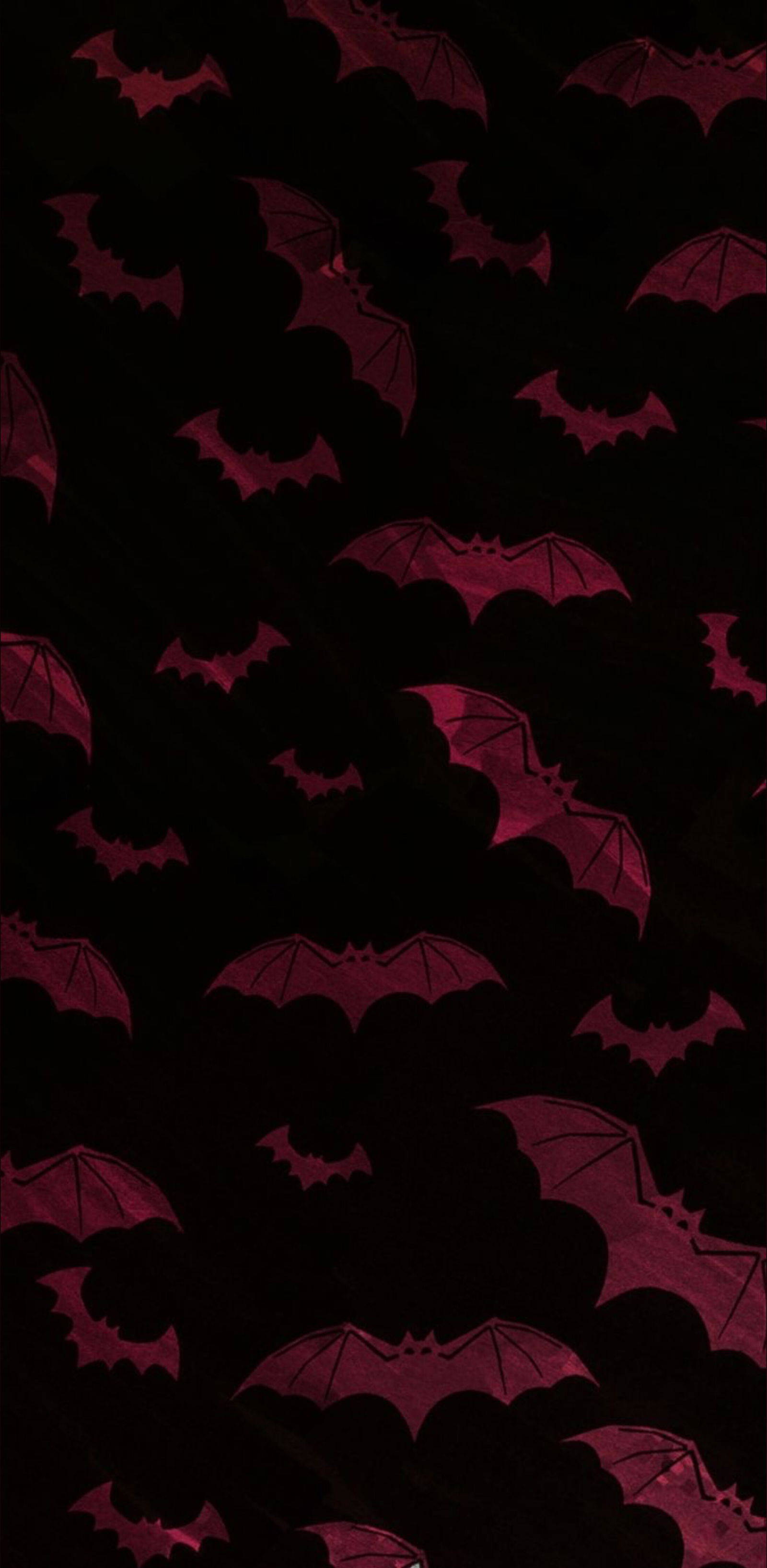 Juliane - FREE π RATE - profile banner