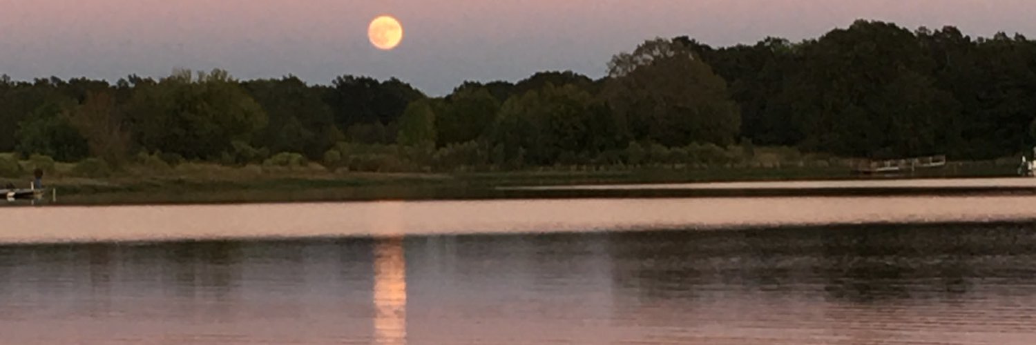 LakeJuna profile banner