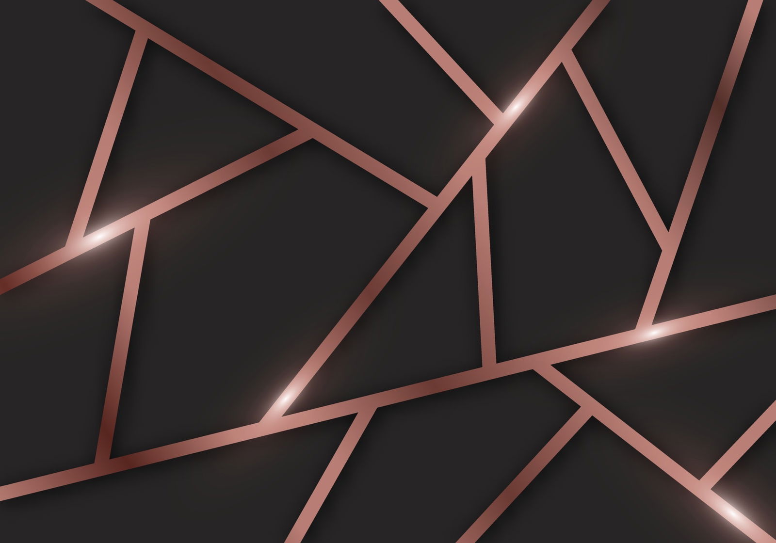 Ms.Tigress profile banner