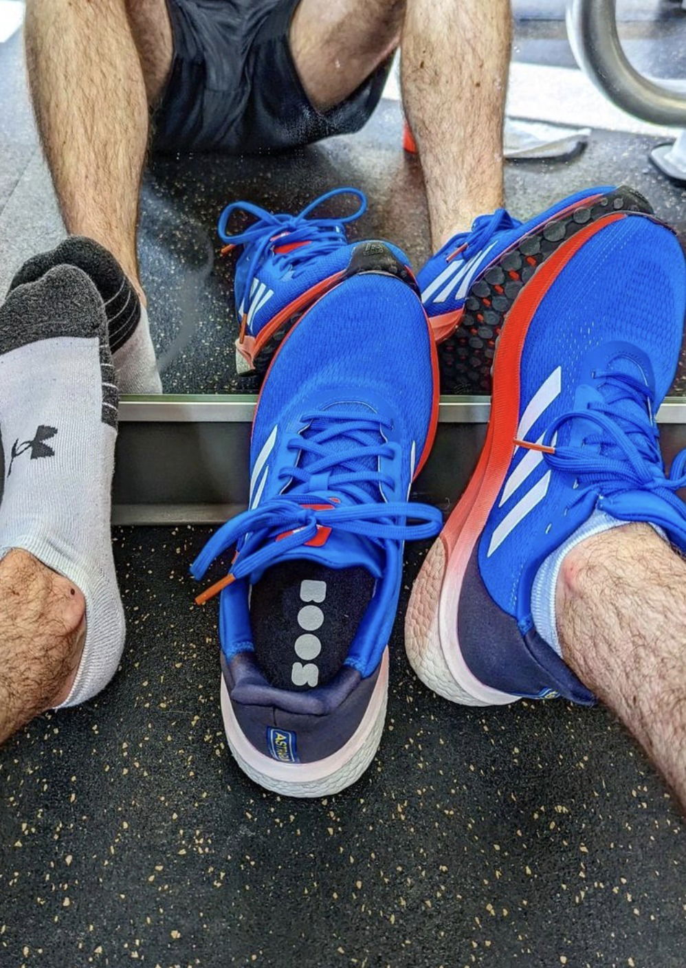 kansassneaks banner