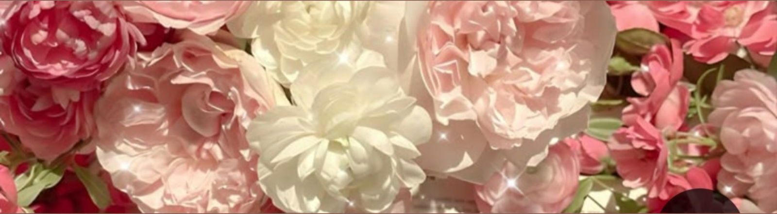 Universitaria Sensual🌸 profile banner