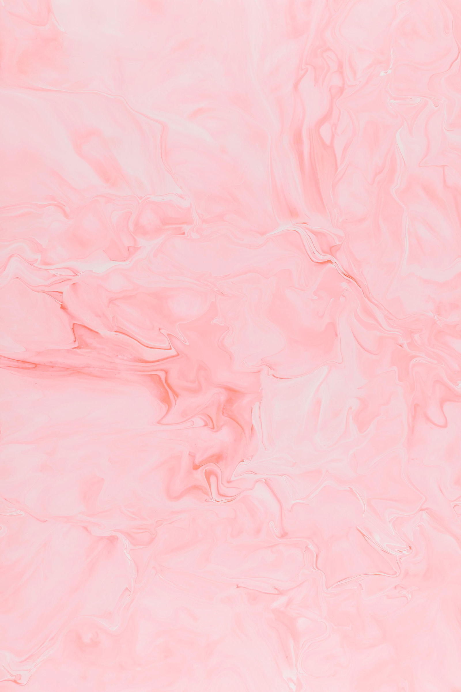 Itty Bitty Titty Kitty profile banner
