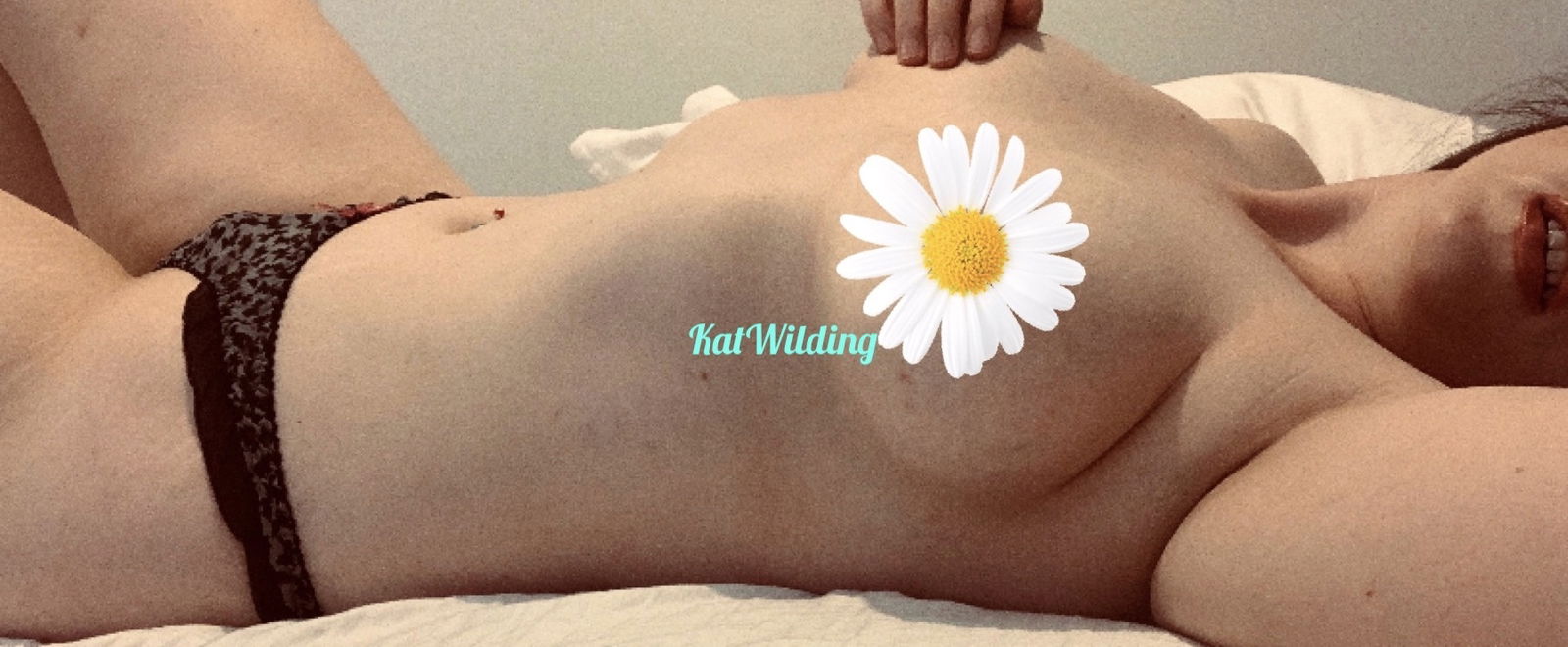 katwilding banner
