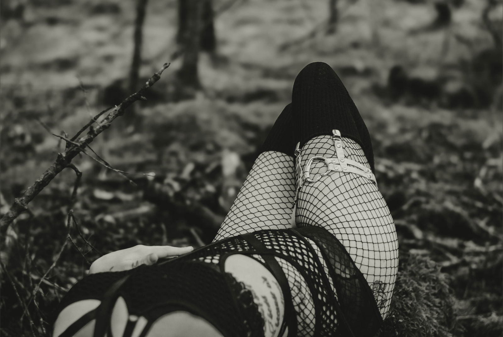 Kitty Del Rey profile banner