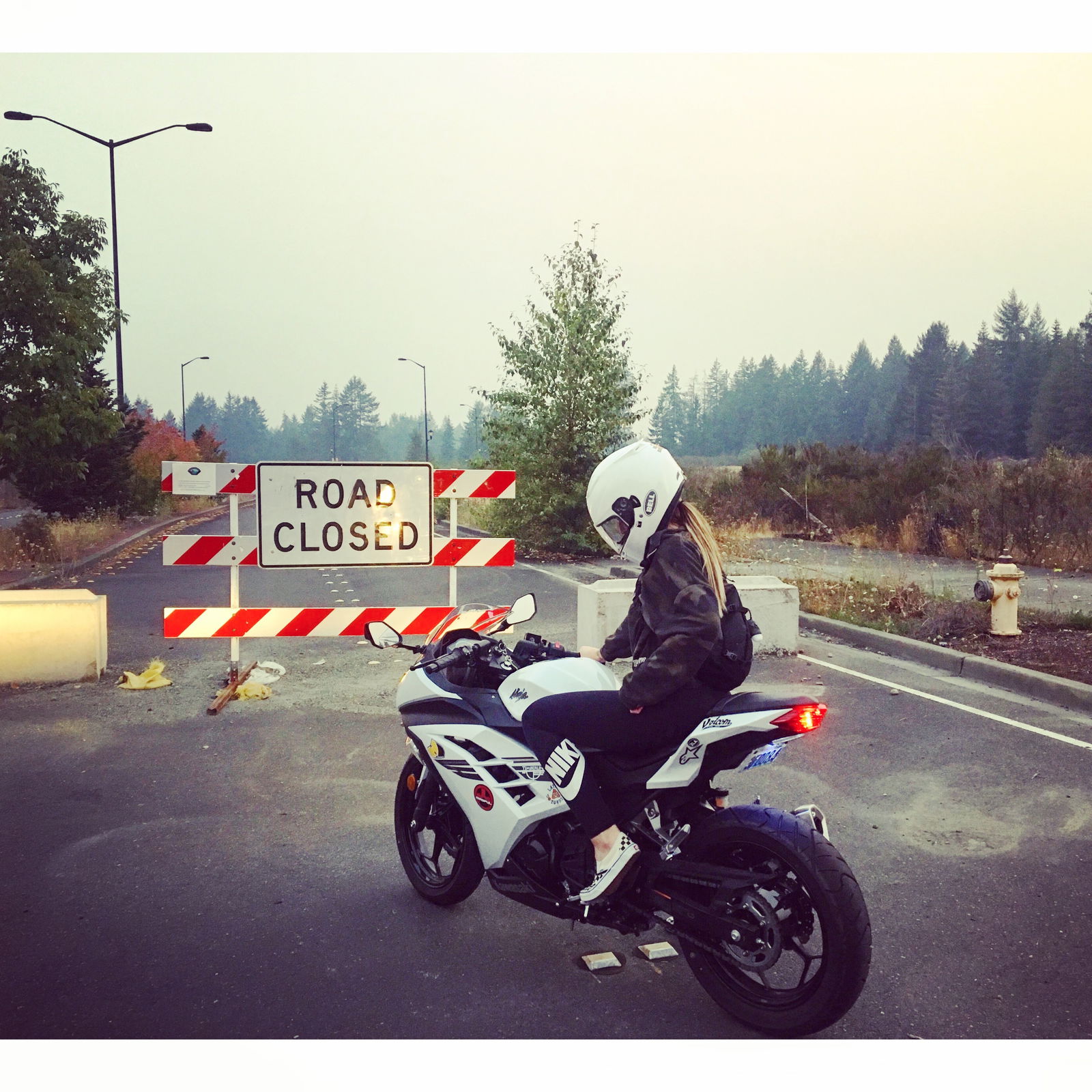 kawasakikatt banner