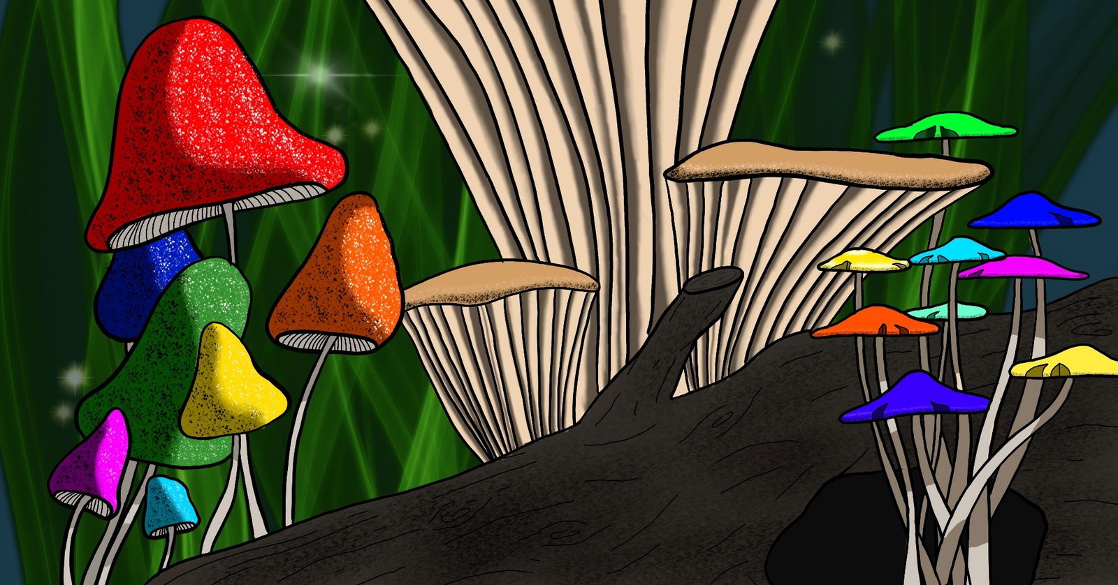 Kayla Ann profile banner