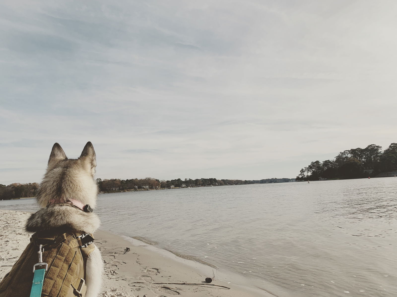 Katie profile banner