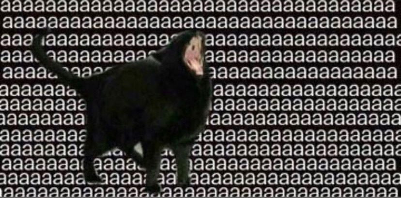 Kgmamacat profile banner