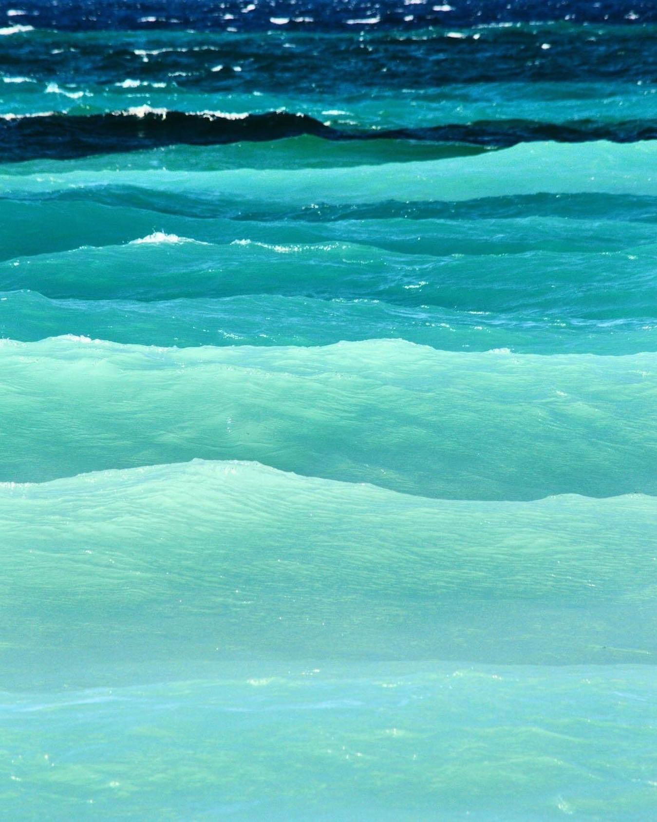 khaleesi.87 banner