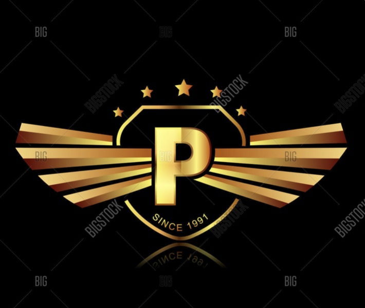 Palujo profile banner
