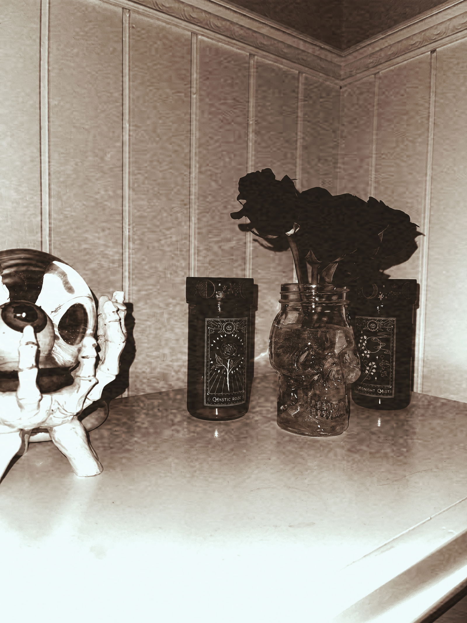 Kinky Kitty profile banner