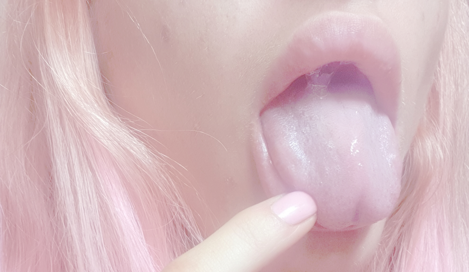 kittengutz_666 banner